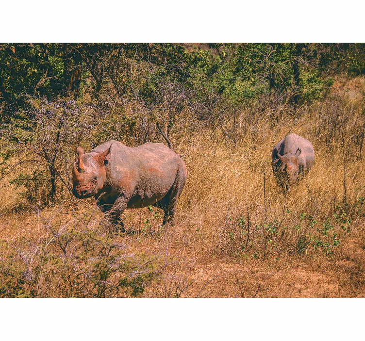 Tapisserie animaux rhinocéros dans la prairie - TenStickers