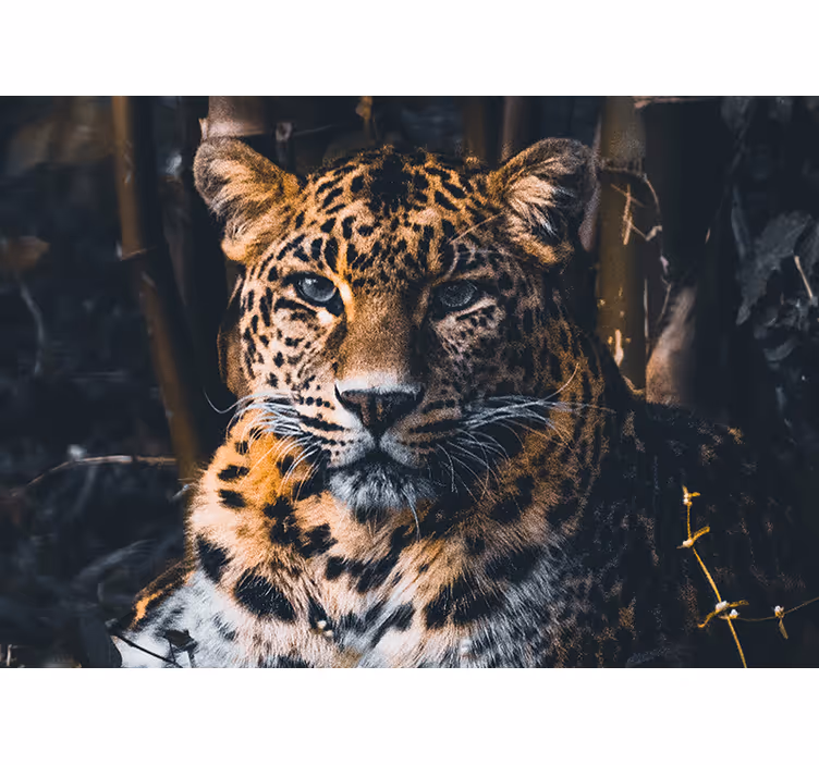 Tapisserie animaux portrait de léopard majestueux - TenStickers