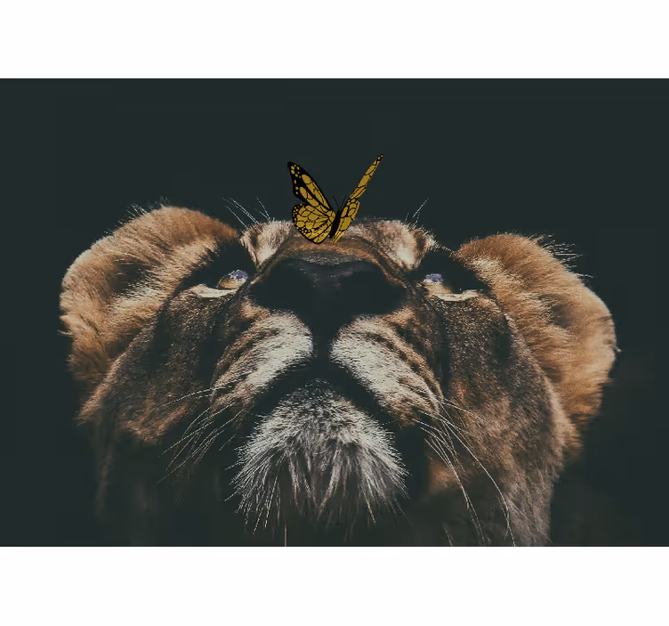 Tapisserie lion ourson avec papillon - TenStickers