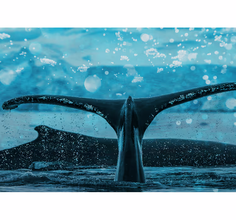 Tapisserie animaux éclaboussure de nageoire de baleine - TenStickers