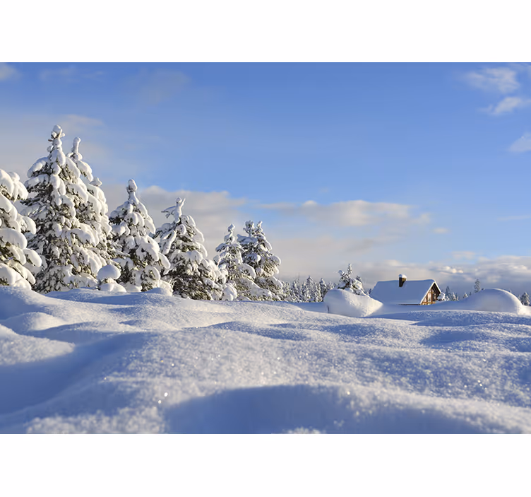 Tapisserie paysage scène d'hiver enneigée - TenStickers
