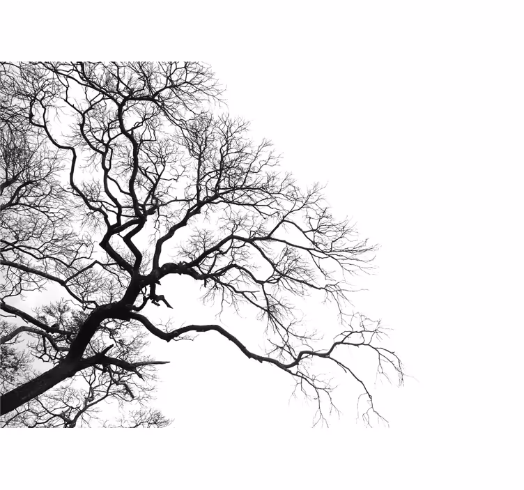 Tapisserie arbre silhouette de branches nues - TenStickers