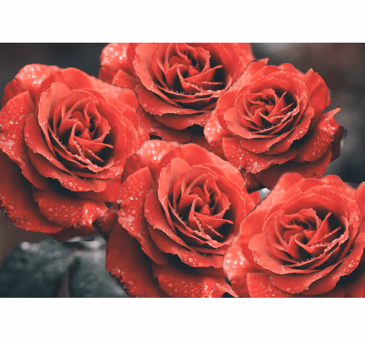 Tapisserie fleur roses écarlates en fleurs - TenStickers