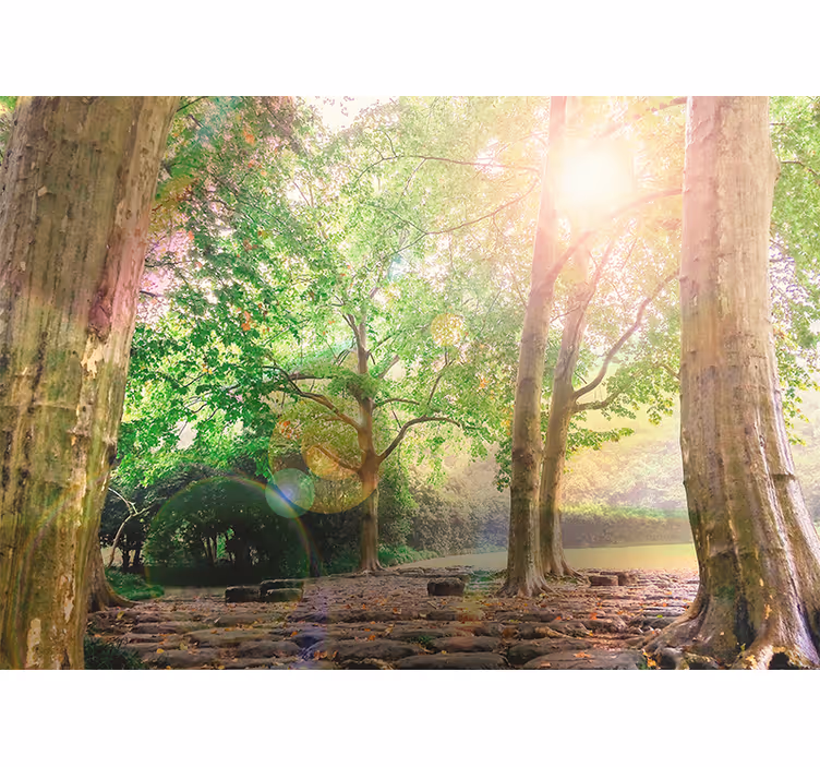 Papier peint nature sérénité de verdure luxuriante - TenStickers