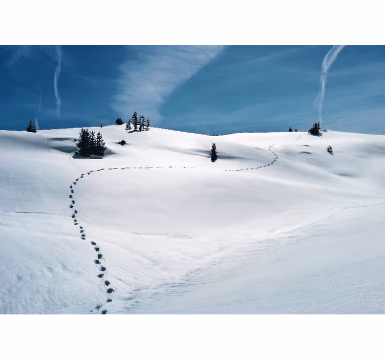 Tapisserie montagne chemin de montagne enneigé - TenStickers