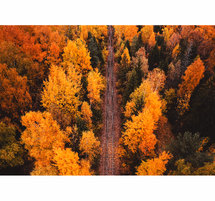 Tapisserie paysage sentier boisé d'automne - TenStickers