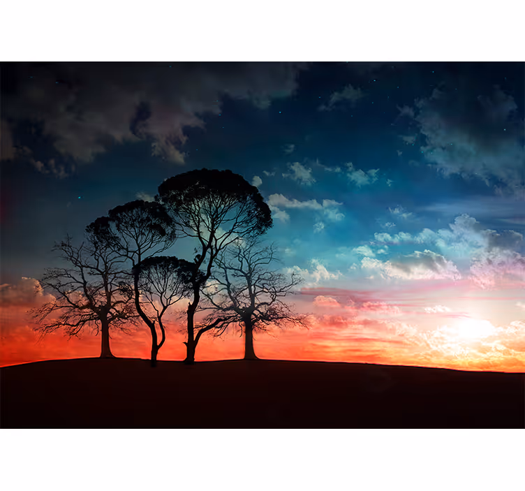 Tapisserie arbre silhouette d'arbre au coucher de soleil - TenStickers