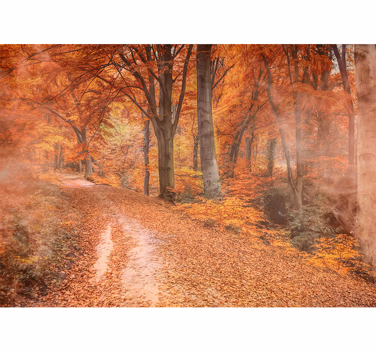 Papier peint nature chemin d'automne - TenStickers