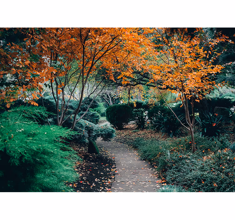 Tapisserie nature chemin parmi les arbres - TenStickers