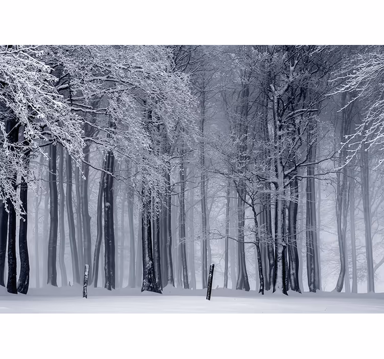 Tapisserie forêt paysage d'arbres enneigés - TenStickers