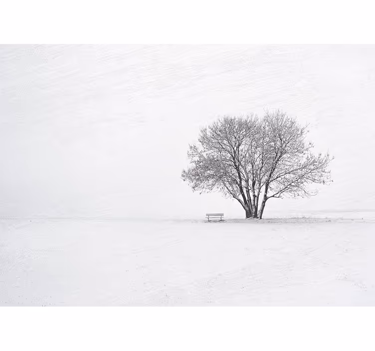 Tapisserie nature arbre solitaire enneigé - TenStickers