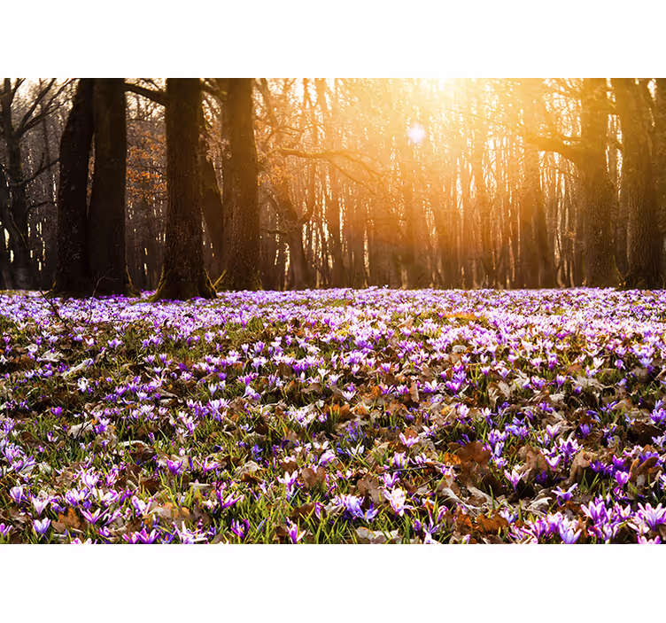 Tapisserie fleur prairie fleurie ensoleillée - TenStickers