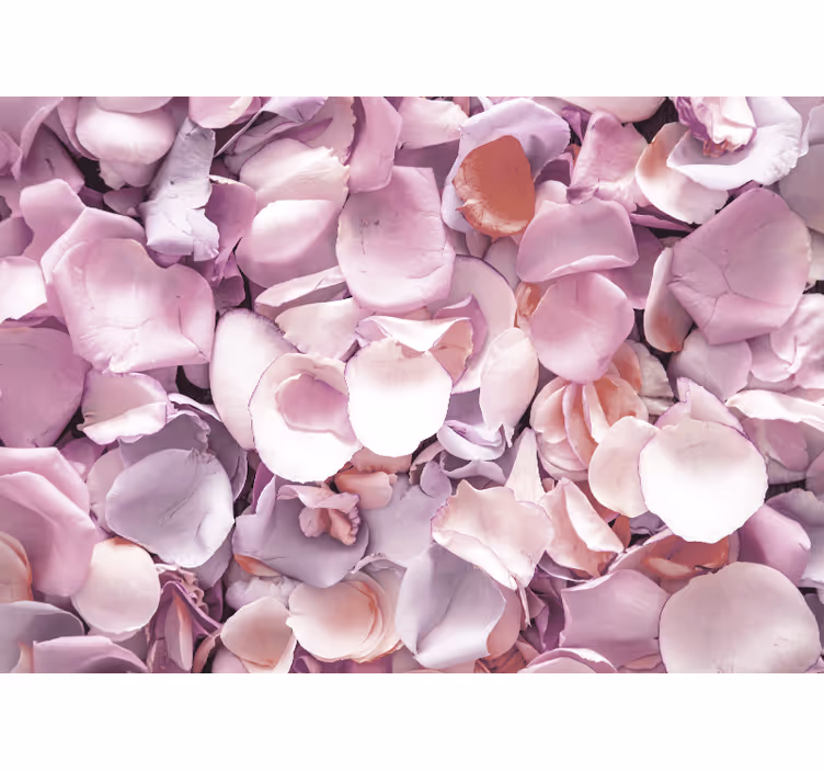 Tapisserie fleur gros plan sur pétales de rose - TenStickers