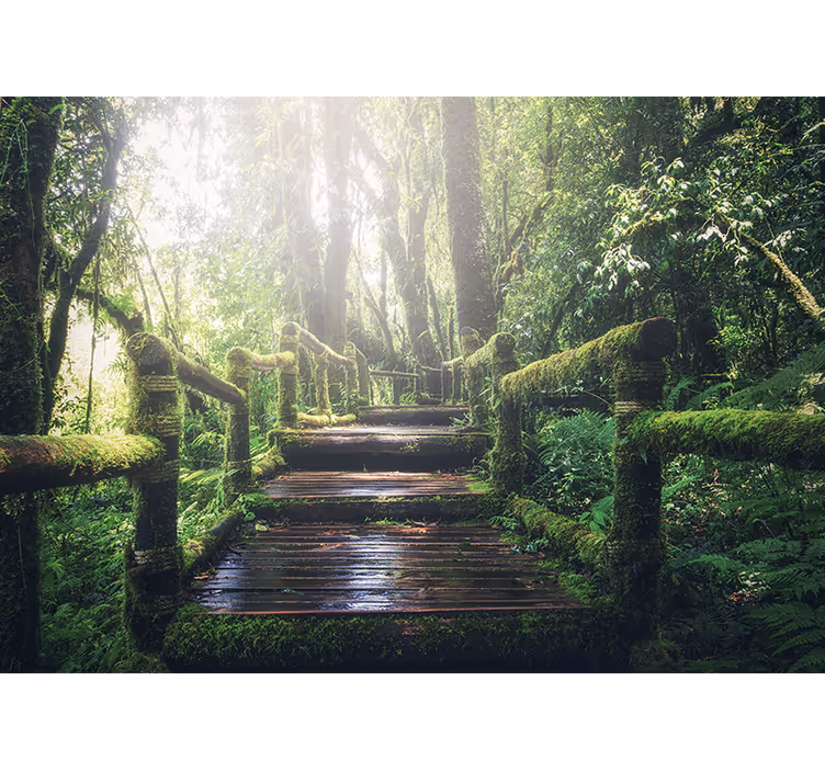 Papier peint nature sentier forestier luxuriant - TenStickers