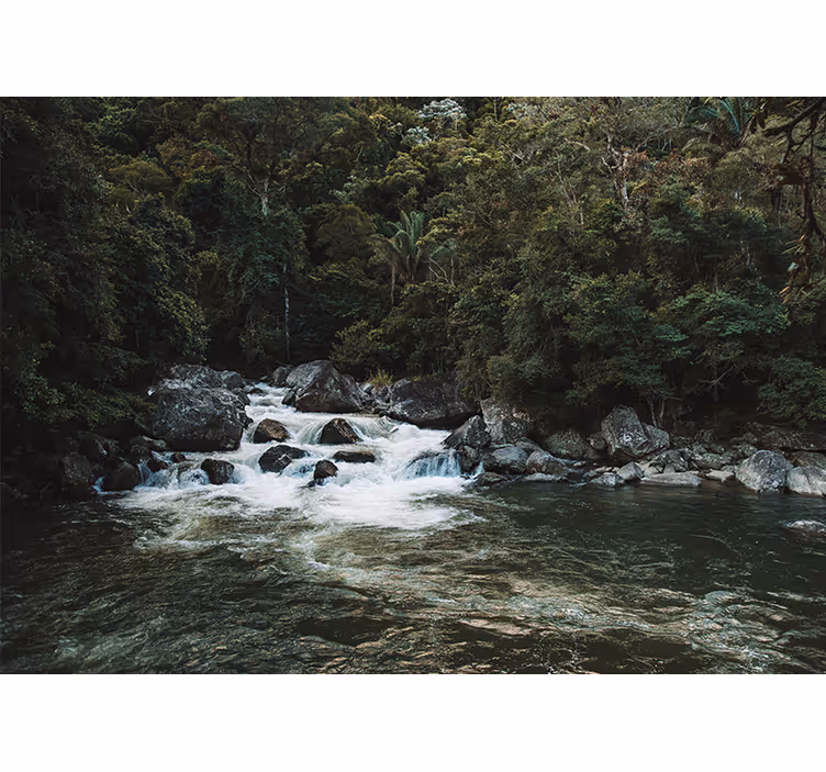 Tapisserie nature scène de rivière sereine - TenStickers