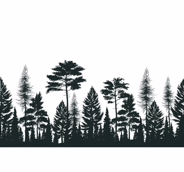 Tapisserie nature arbres de conifères en silhouette - TenStickers