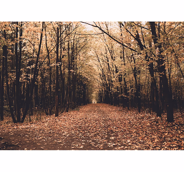 Tapisserie forêt vue sur un chemin d'automne - TenStickers