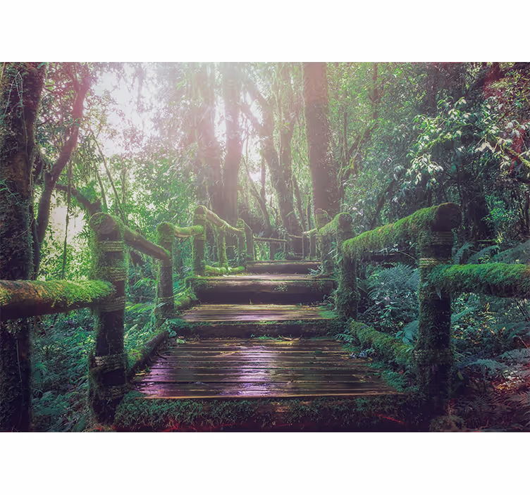 Papier peint nature chemin forestier moussu - TenStickers