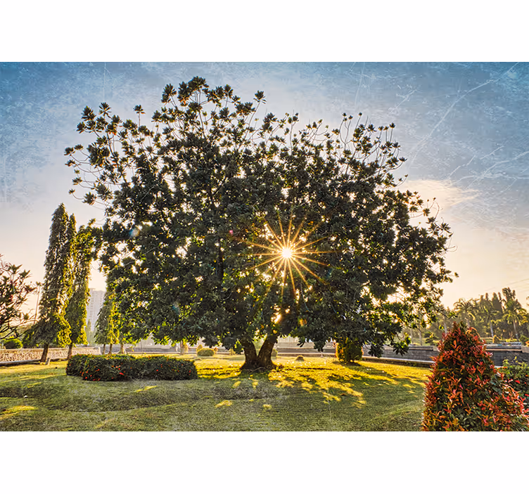 Tapisserie nature vue sur un arbre ensoleillé - TenStickers
