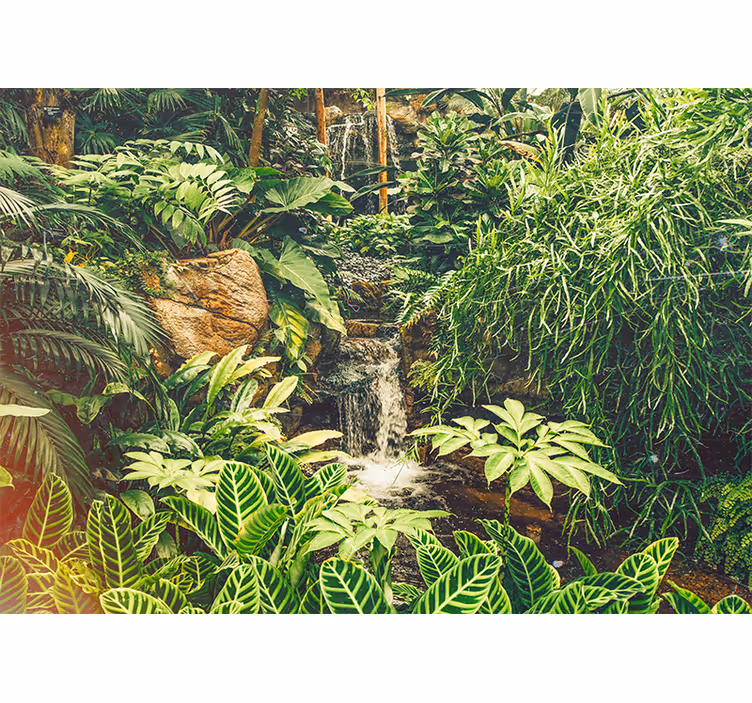 Papier peint nature havre tropical vibrant - TenStickers