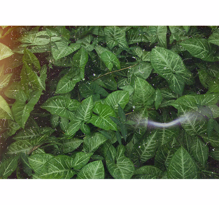Tapisserie nature composition de feuilles vives - TenStickers