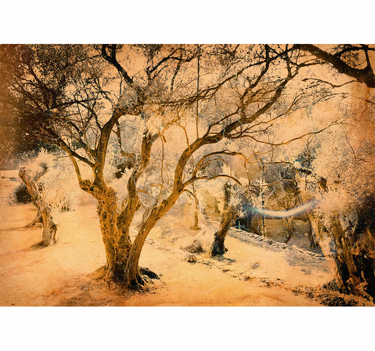 Tapisserie forêt arbres d'olive dorés - TenStickers