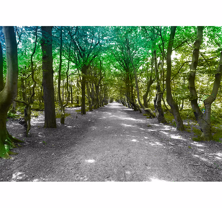 Tapisserie nature sentier d'arbres luxuriants - TenStickers