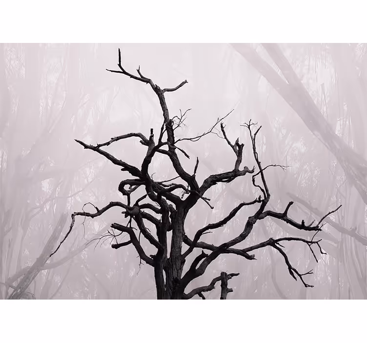 Tapisserie arbre silhouette de branches élaborées - TenStickers