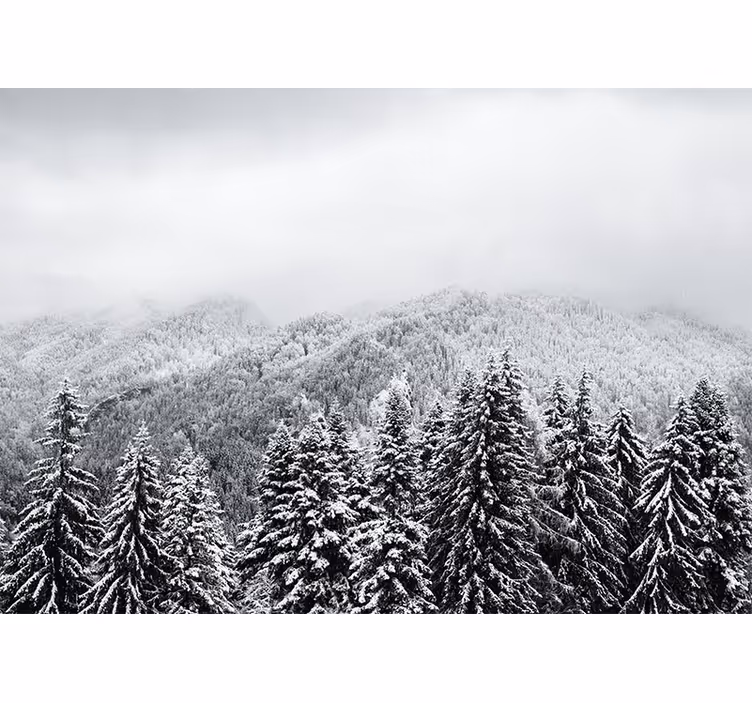 Tapisserie nature paysage forestier hivernal - TenStickers