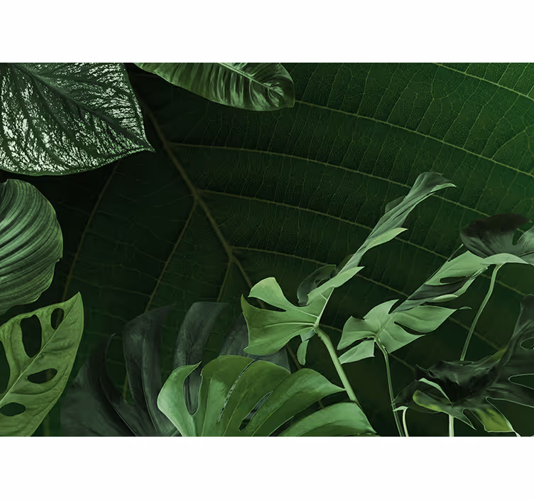 Tapisserie nature feuillage vert luxuriant - TenStickers