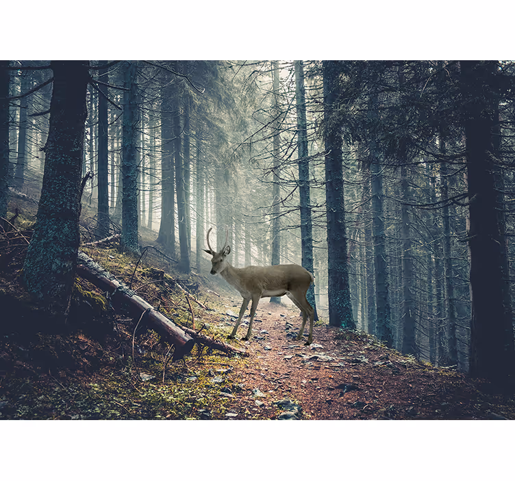 Papier peint forêt cerf dans les bois - TenStickers