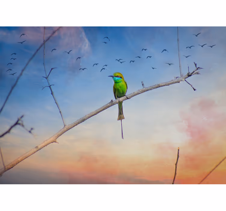 Tapisserie animaux oiseau sur branche - TenStickers