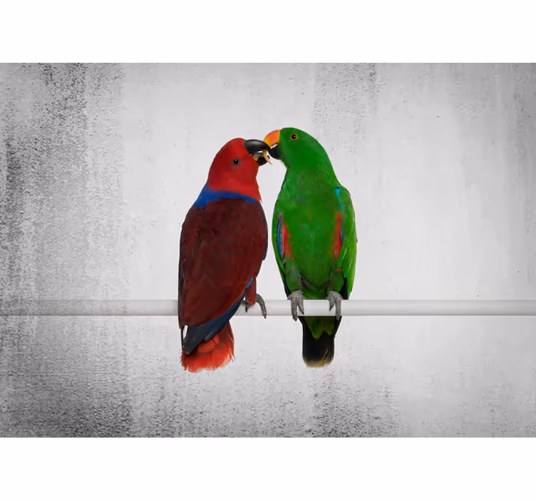 Tapisserie autres animaux interaction de perroquets colorés - TenStickers