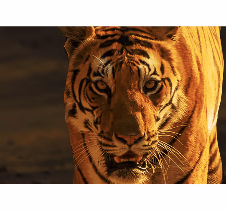 Tapisserie lion regard majestueux du tigre - TenStickers