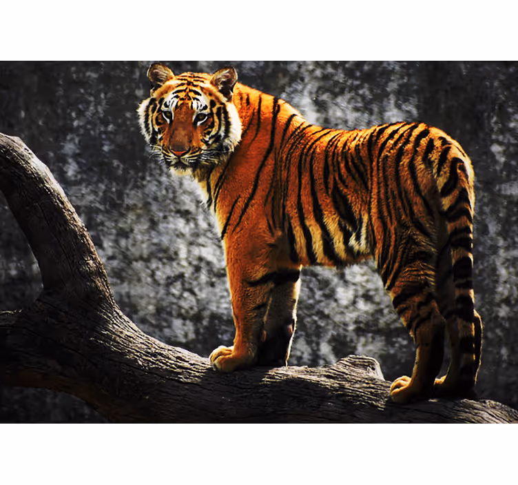 Tapisserie animaux tigre royal en posture - TenStickers