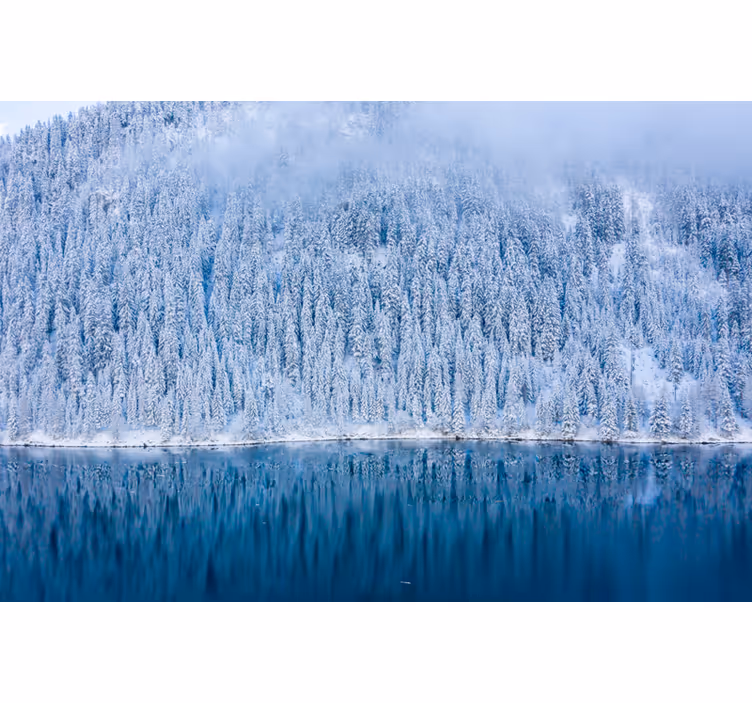Photo murale lac Paysage Lac Suisse Alpes - TenStickers