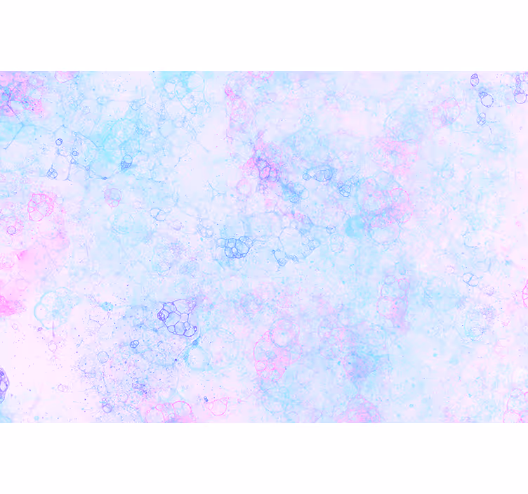 Tapisserie murale bulles roses et bleues - TenStickers