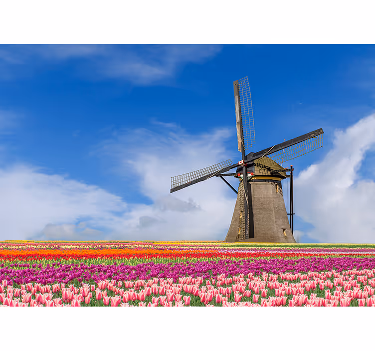 Tapisserie amsterdam moulin à vent champ de tulipes - TenStickers