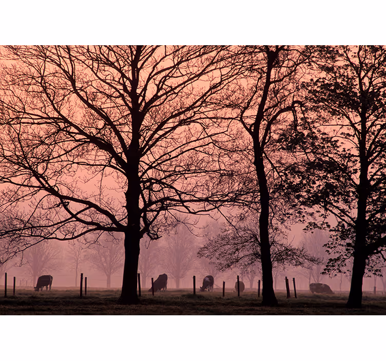 Tapisserie paysage scène d'arbres embrumés - TenStickers