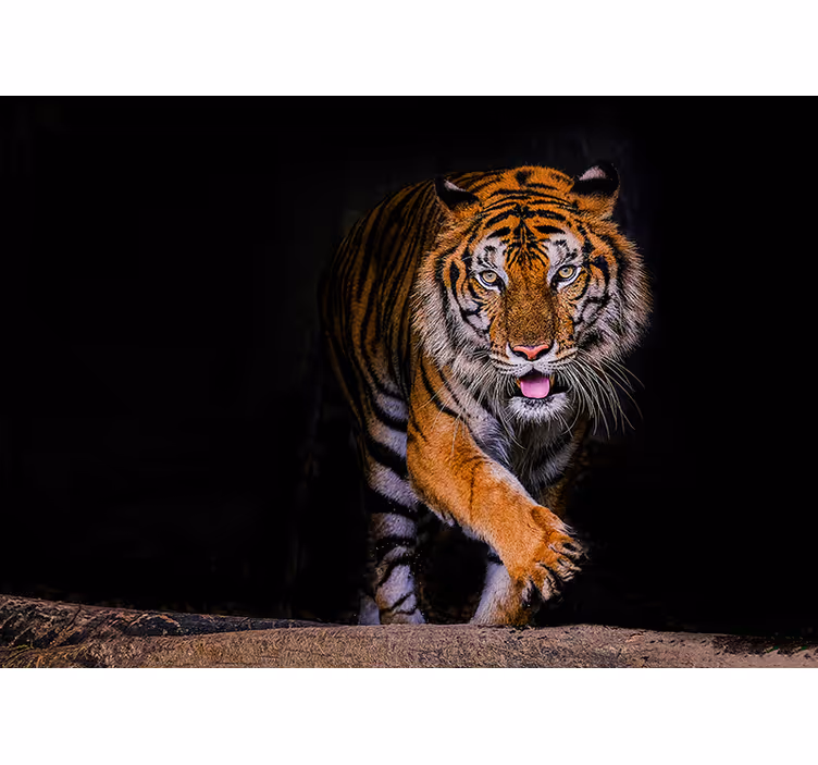 Tapisserie autres animaux tigre qui rôde - TenStickers