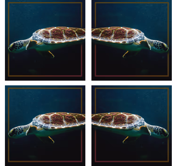 Sous verre moderne image de tortue de mer élégante - TenStickers