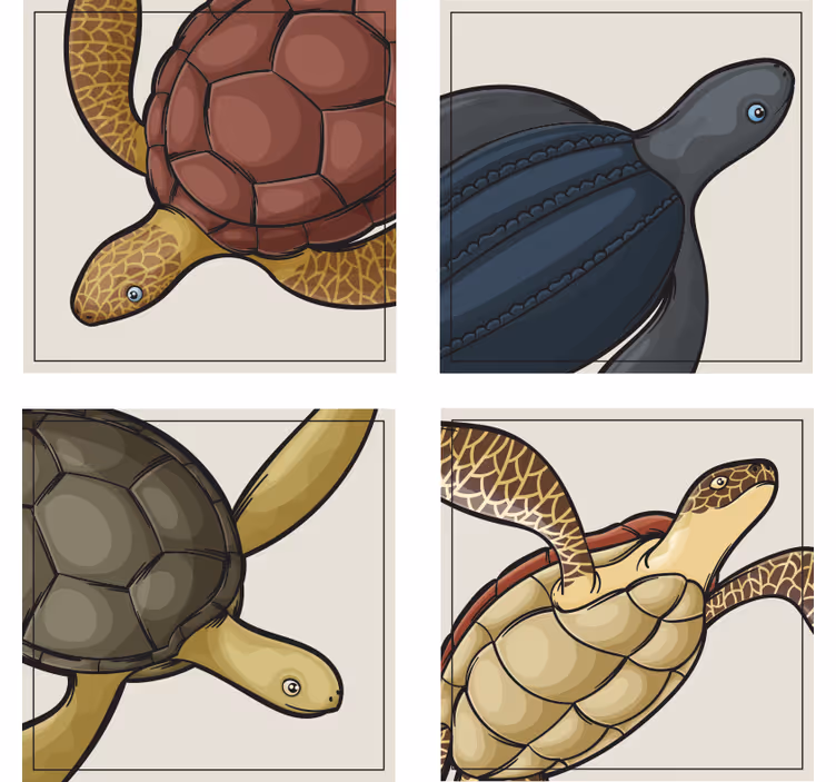 Sous verre bière illustrations de tortues colorées - TenStickers