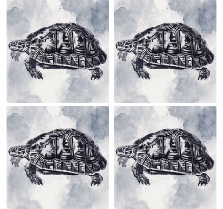 Sous verre bière illustration artistique de tortue - TenStickers