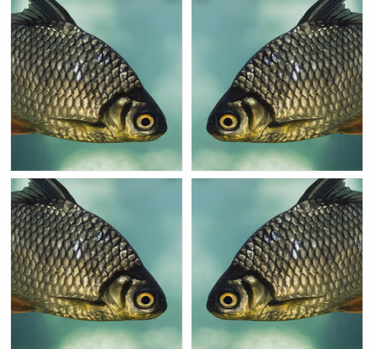Sous verre bière image réaliste de poisson - TenStickers