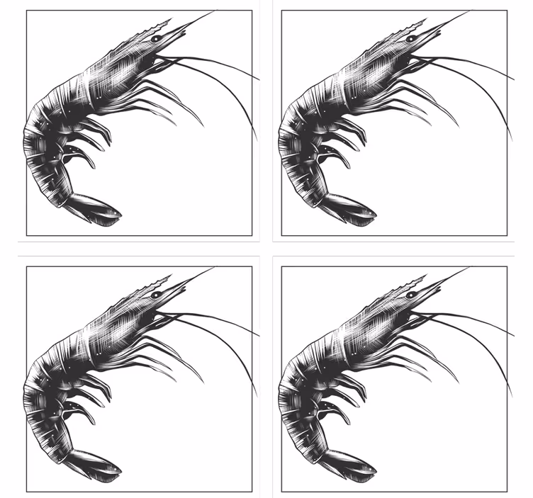 Sous verre moderne illustration de crevette stylisée - TenStickers