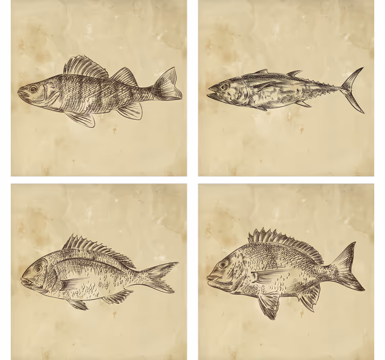 Sous verre bière illustration de poisson fantaisiste - TenStickers