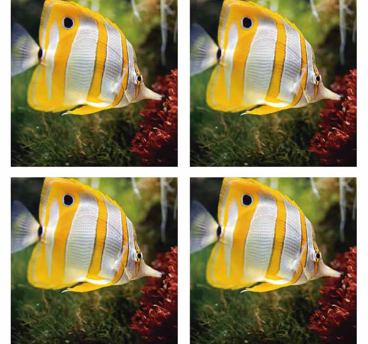 Sous verre moderne image de poisson éclatante - TenStickers