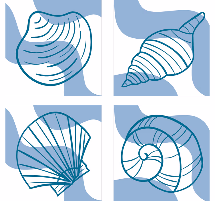Sous verre bière illustrations de coquillages stylisées - TenStickers