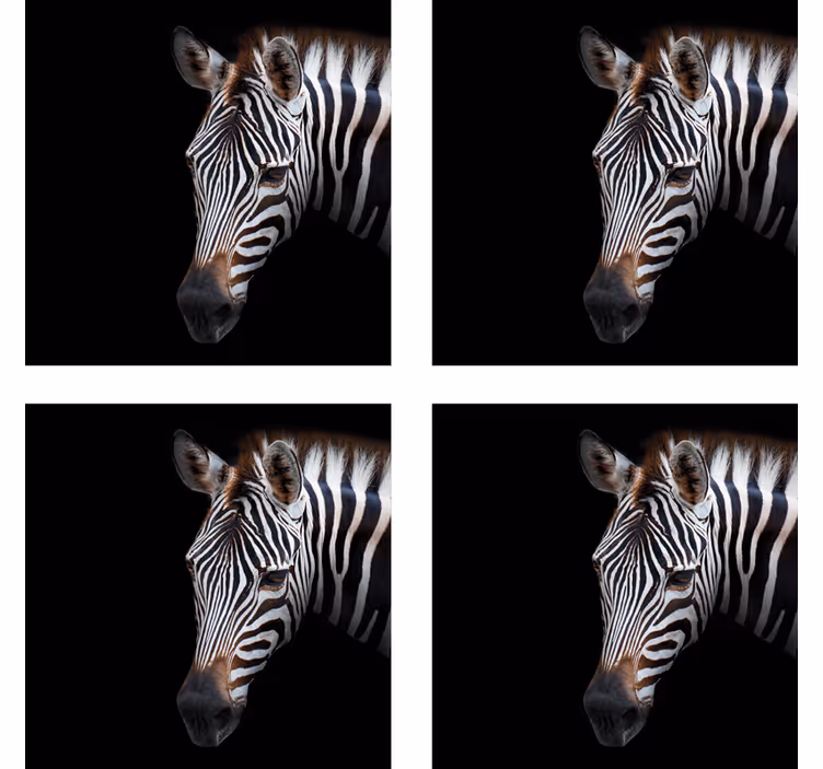 Sous verre moderne illustration tête de zèbre - TenStickers