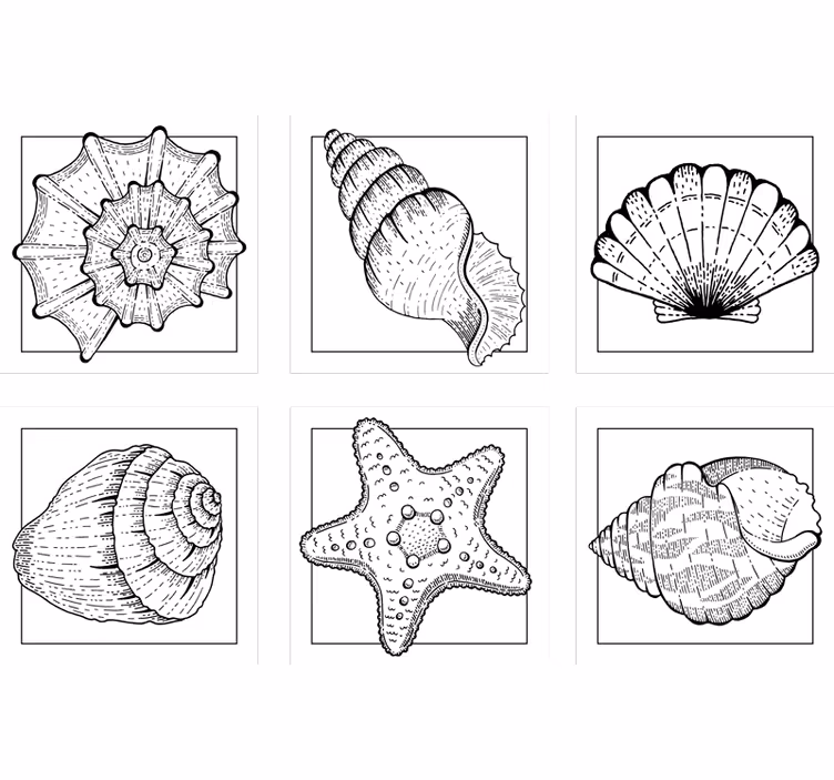Sous verre motifs de coquillages complexes - TenStickers